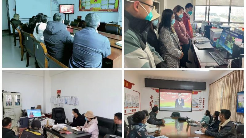 小标题：在线教育兴起，选择机构需谨慎